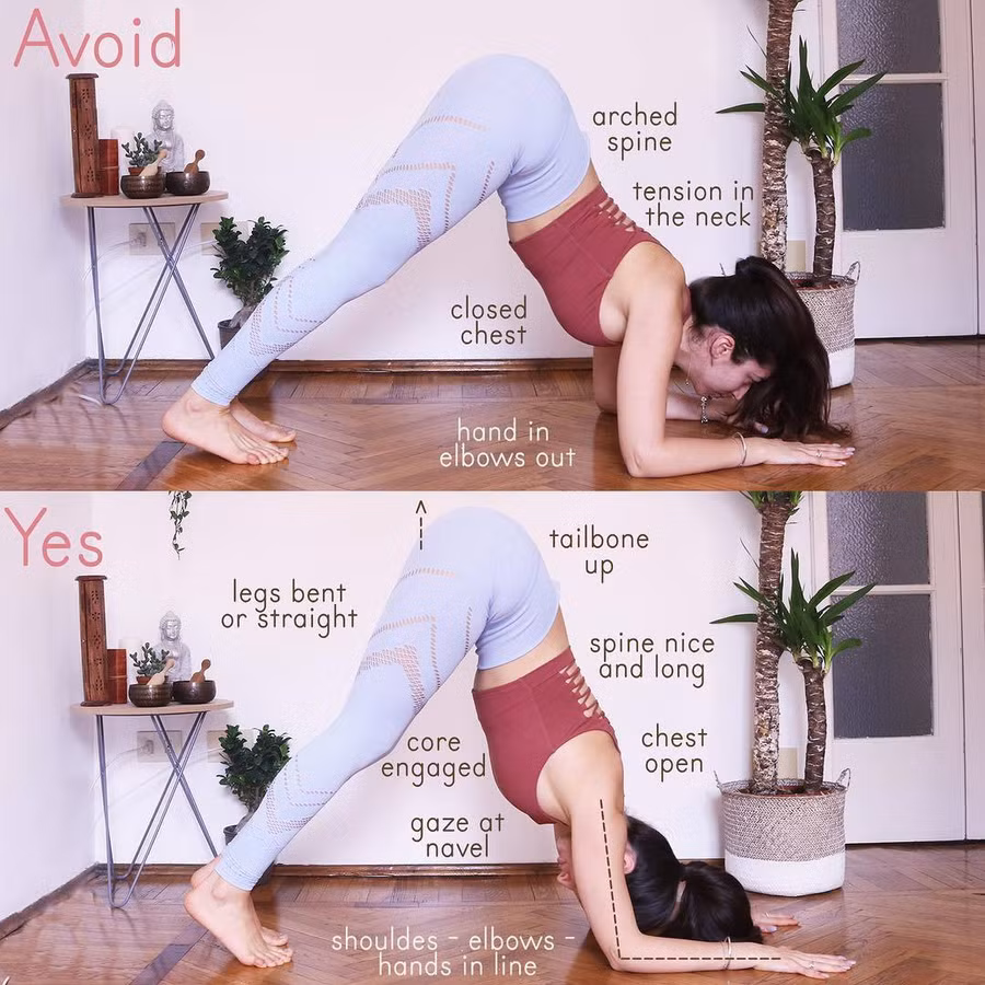 7 tư thế yoga giúp chữa đau lưng và trị chứng mất ngủ