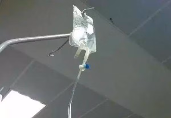 be 9 tuoi ngo doc nghiem trong sau khi an nhan, kiem tra cay trong vuon moi biet ly do - 1