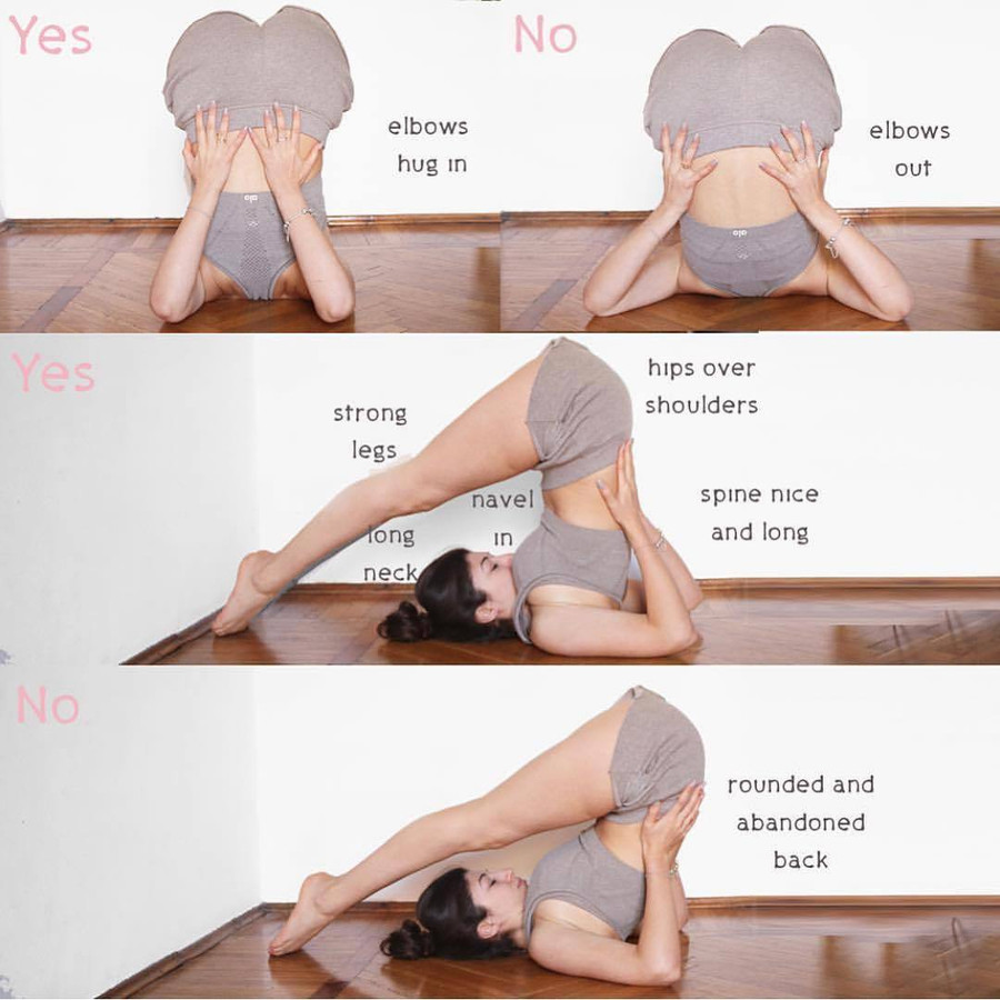 7 tư thế yoga giúp chữa đau lưng và trị chứng mất ngủ