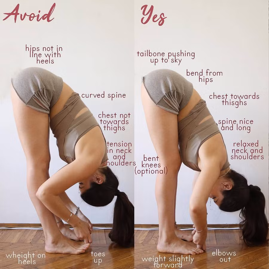 7 tư thế yoga giúp chữa đau lưng và trị chứng mất ngủ