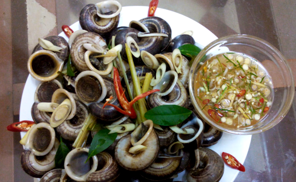 ỐC HANG: Đặc sản của vùng miền núi Thái Nguyên