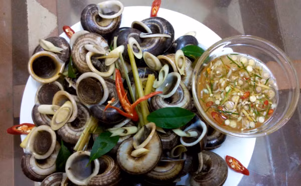 ỐC HANG: Đặc sản của vùng miền núi Thái Nguyên