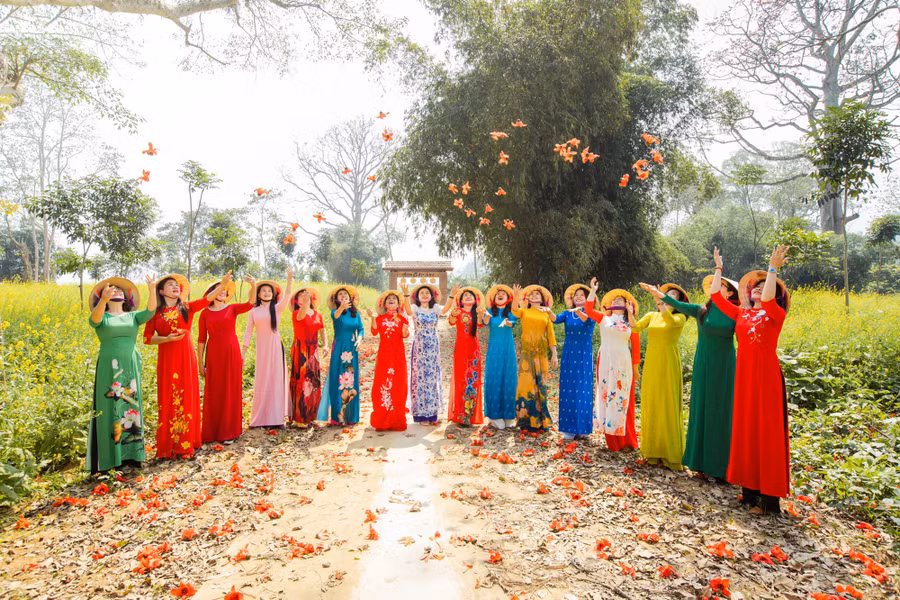 Vẻ đẹp của loài hoa này góp phần quảng bá hình ảnh văn hóa, vùng đất, con người, tiềm năng du lịch của xã Tam Sơn tới người dân, du khách thập phương.