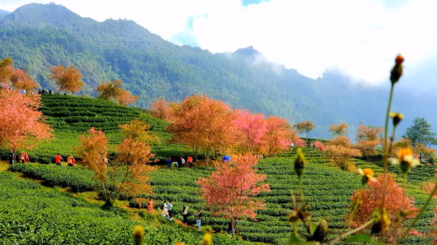 Mỗi du khách khi đến đây đều mong muốn lưu lại những tấm hình đẹp nhất.