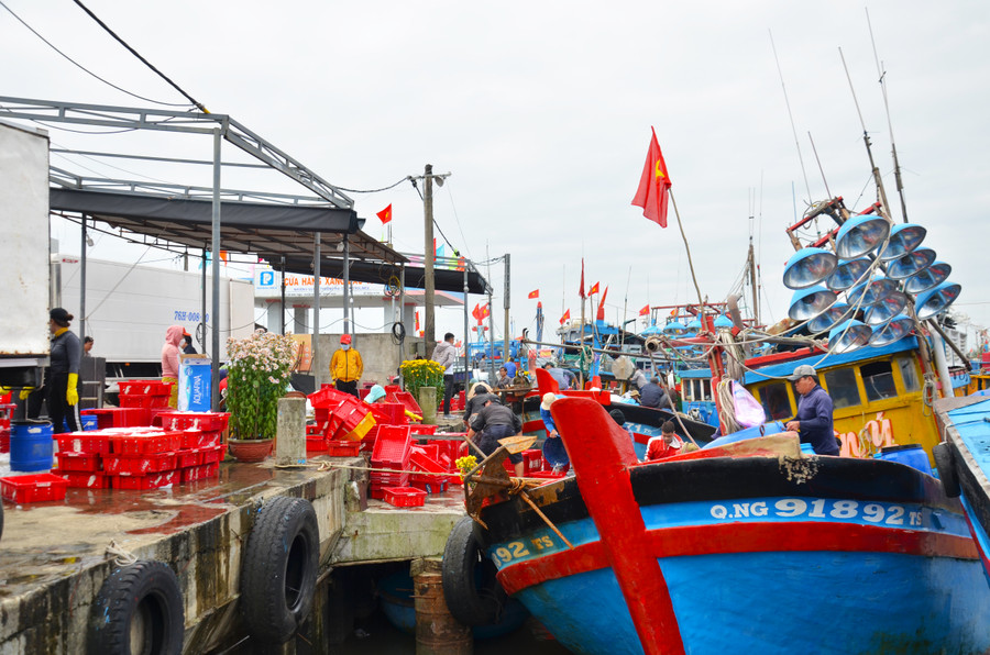 Cảng cá Bình Châu (huyện Bình Sơn, tỉnh Quảng Ngãi) những ngày đầu năm vô cùng sôi động bởi các tàu cá liên tục cập bến. Cảng cá Bình Châu (huyện Bình Sơn, tỉnh Quảng Ngãi) những ngày đầu năm vô cùng sôi động bởi các tàu cá liên tục cập bến.