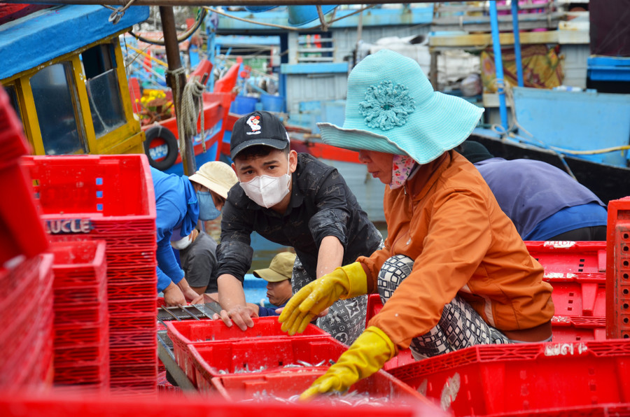 Cá cơm từ tàu được cho vào rổ và chuyển lên bờ. Tại xã Bình Châu, dịch vụ hậu cần nghề cá tương đối phát triển giải quyết việc làm cho khoảng 1.600 lao động trong và ngoài xã. Cá cơm từ tàu được cho vào rổ và chuyển lên bờ. Tại xã Bình Châu, dịch vụ hậu cần nghề cá tương đối phát triển giải quyết việc làm cho khoảng 1.600 lao động trong và ngoài xã.