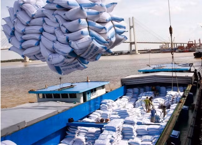 Nhiều tín hiệu tích cực với xuất khẩu gạo