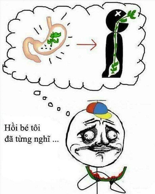 Bạn có từng nghĩ nuốt hạt sẽ mọc cây trong bụng?