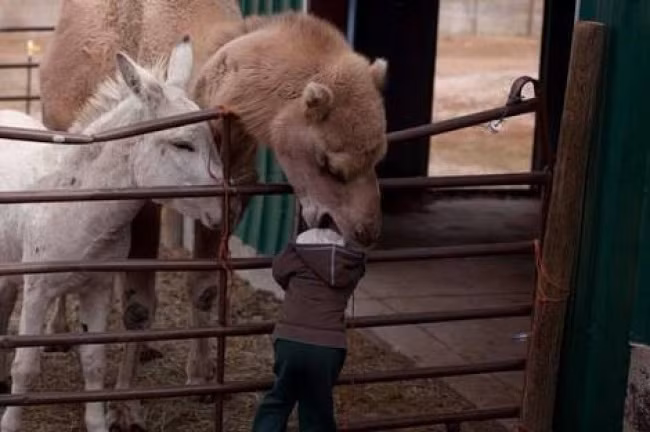 tinh co "chop" nhung khoanh khac hai huoc day bat ngo hinh anh 11