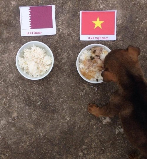 "Chó thần" dự đoán trận bán kết U23 Qatar và U23 Việt Nam. Chó thần dự đoán trận bán kết U23 Qatar và U23 Việt Nam.
