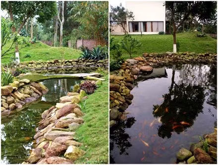 Đọ vườn nhà như trong cổ tích của Hồng Nhung - Mỹ Linh ảnh 11