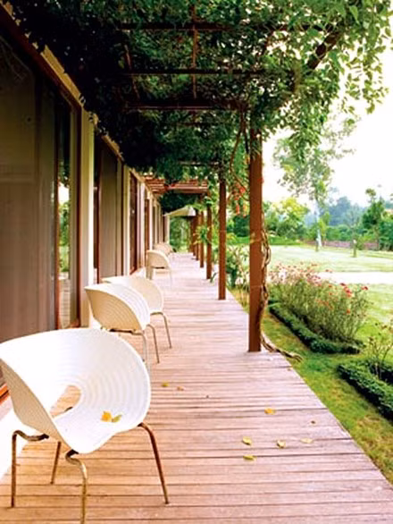 Đọ vườn nhà như trong cổ tích của Hồng Nhung - Mỹ Linh ảnh 9