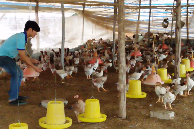 Nguyễn Văn Tuân với mô hình trang trại của mình