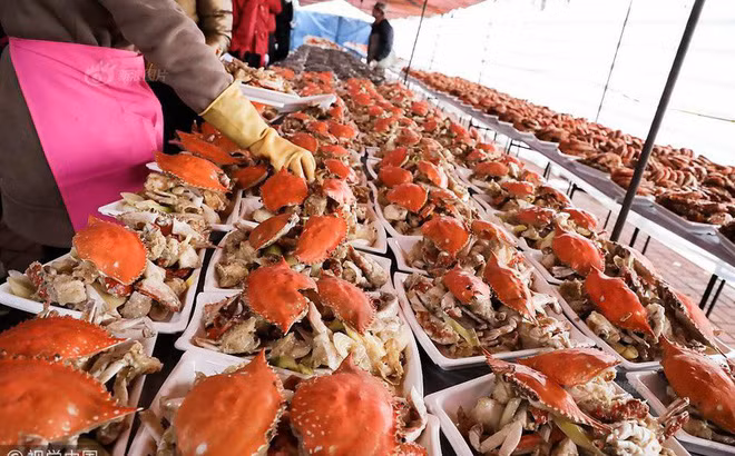 Choáng ngợp với cỗ cưới “nhà quê“ mời 1.500 người, đầy đủ bào ngư, hải sâm 