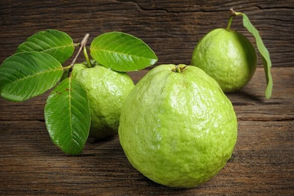 Ổi là thức quả giàu vitamin C nhất. Hàm lượng vitamin C trong ổi cao gấp 4 lần trong cam. 100 g ổi chứa tới 200 mg vitamin C.Ổi chứa nhiều chất xơ, ít chất béo bão hòa, ít cholesterol và muối natri.