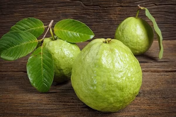 Ổi là thức quả giàu vitamin C nhất. Hàm lượng vitamin C trong ổi cao gấp 4 lần trong cam. 100 g ổi chứa tới 200 mg vitamin C.Ổi chứa nhiều chất xơ, ít chất béo bão hòa, ít cholesterol và muối natri.