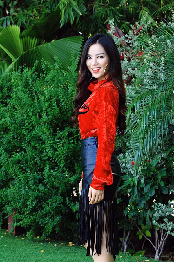 Trước Cả một đời ân oán, Hạ Anh từng được biết tới khi đóng vai lớp trưởng Chiêu Minh trong phim điện ảnh Cô gái đến từ hôm qua.