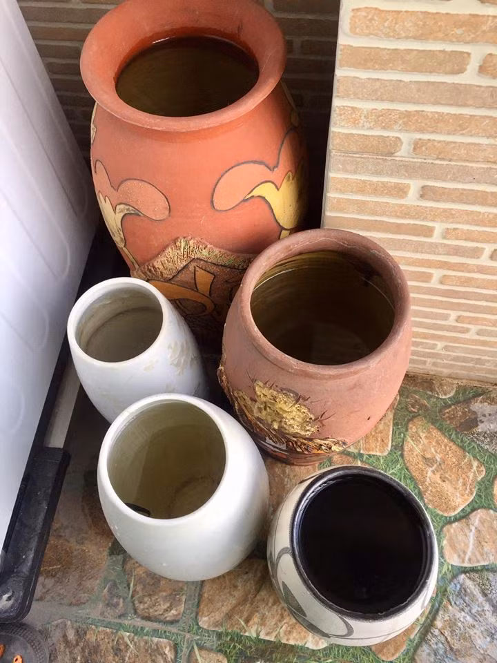 Chứa nước bằng các vật dụng. Từ xô chậu, đến lọ hoa.