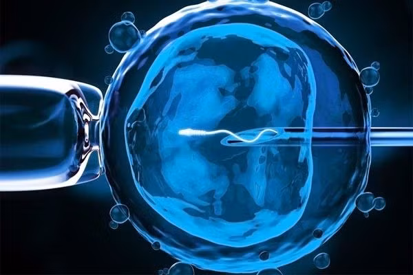 Đẻ xong mới biết bệnh viện cấy nhầm phôi người khác-1