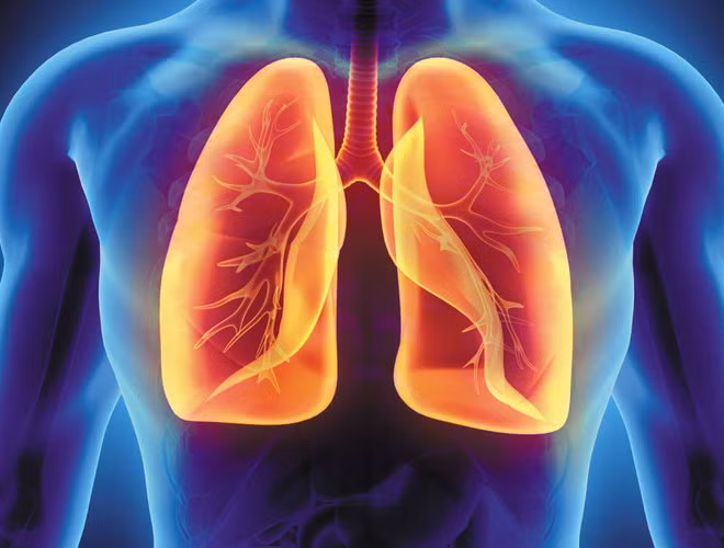 thuc pham tot cho phoi-phunutoday