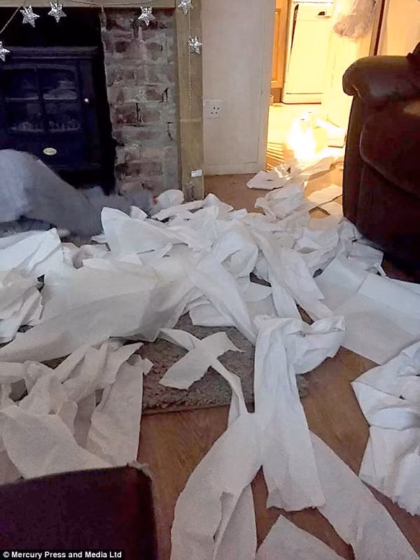 co gai tre mac ung thu vu nhung o li trong phong 6 thang, me bat ngo khi mo cua - 1