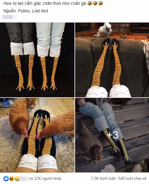 Chia sẻ nhận được hàng chục nghìn lượt thích.