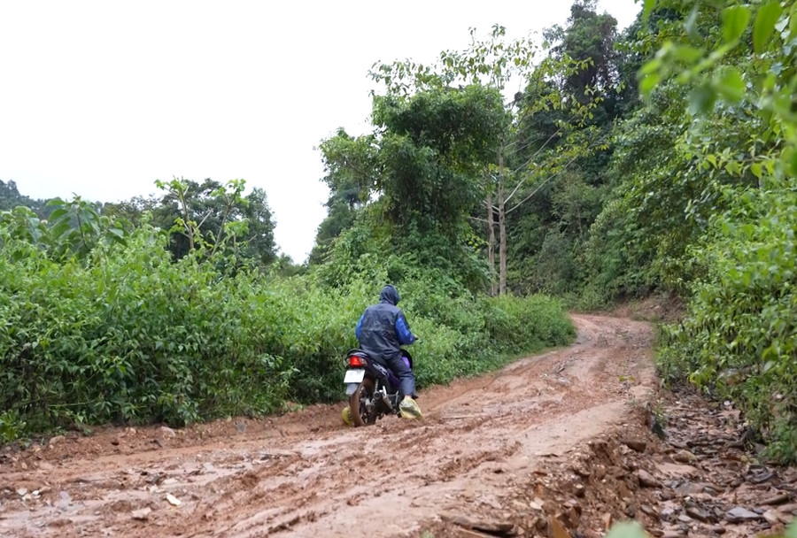 Thầy giáo vượt đường rừng đi vào bản Ón vận động trò đến lớp. (Ảnh: NT).