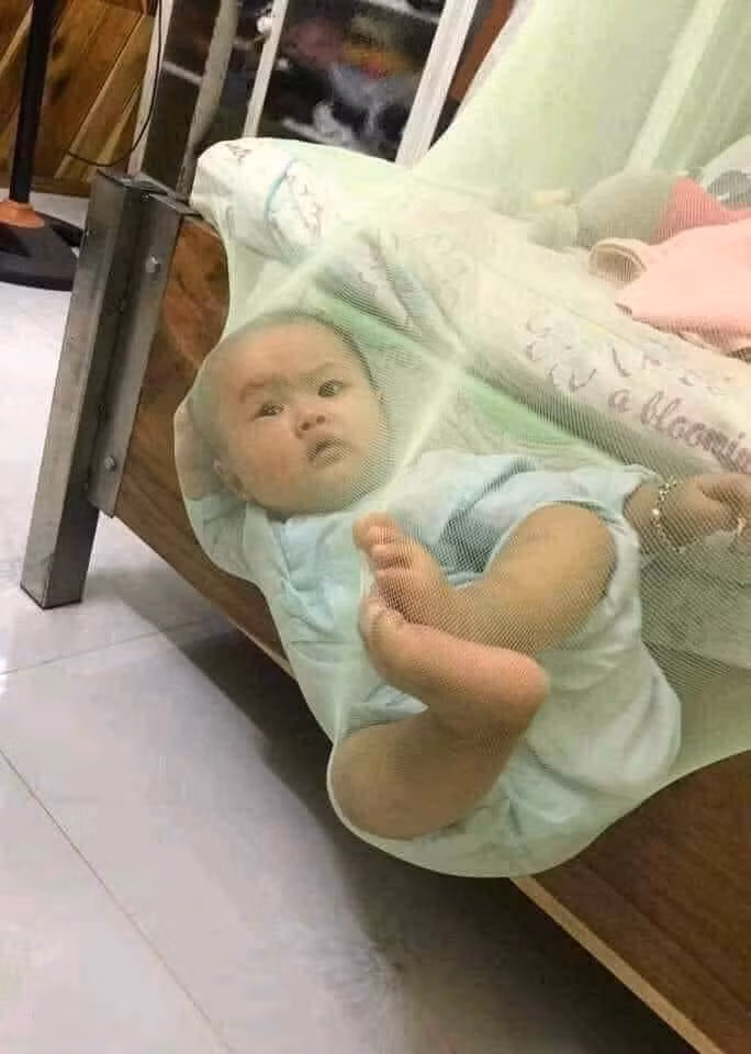 Nhảy dù khi ngủ, lúc dậy chơi đu.