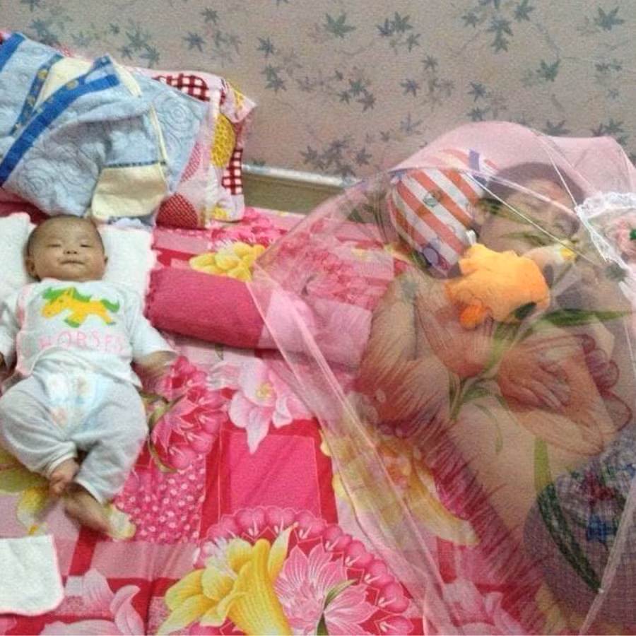 Con muốn lăn đi đâu cũng được, miễn đừng lăn vào bố.