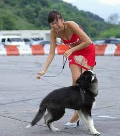 Những bức ảnh cười không ngậm được miệng ảnh 4