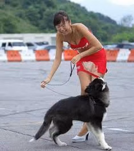 Những bức ảnh cười không ngậm được miệng ảnh 4