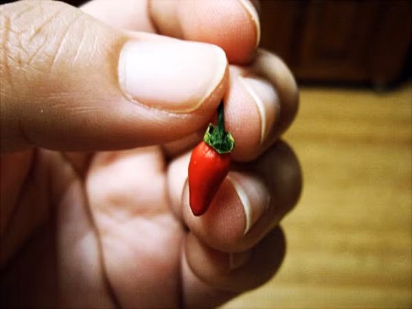 Những củ quả nhỏ xíu xiu như ở thế giới của người tí hon ảnh 2