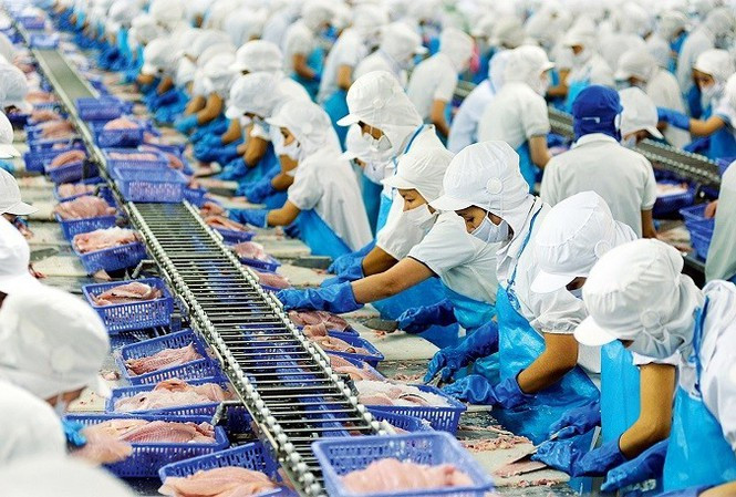 Sơ chế hàng thủy sản xuất khẩu

