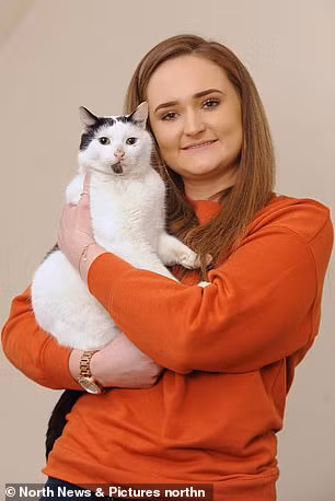 chu meo "chet" bat ngo tro ve voi chu sau 3 nam hinh anh 3