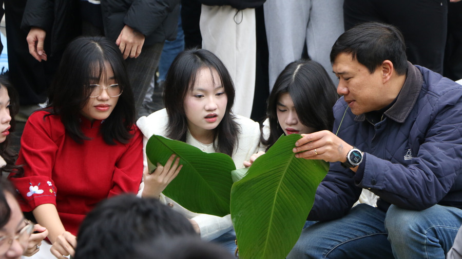 Các em được bố mẹ hướng dẫn từ cách tước sống lá dong sao cho không bị rách lá. Các em được bố mẹ hướng dẫn từ cách tước sống lá dong sao cho không bị rách lá.