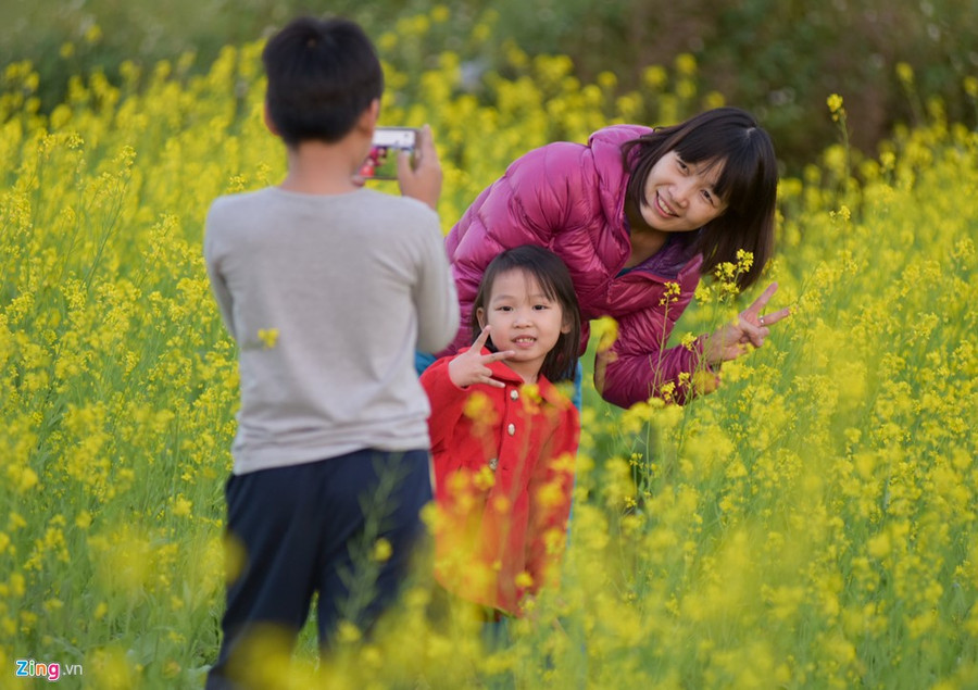 Gioi tre check-in dong hoa cai vang ben song Hong hinh anh 9
