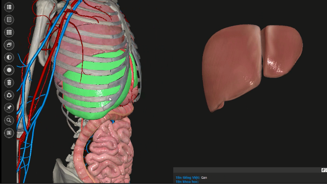 Trong thời gian tới, nhóm nghiên cứu sẽ phát triển mô phỏng nội soi và mổ nội soi