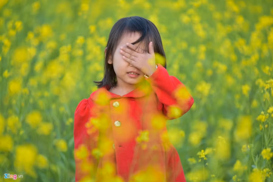 Gioi tre check-in dong hoa cai vang ben song Hong hinh anh 10