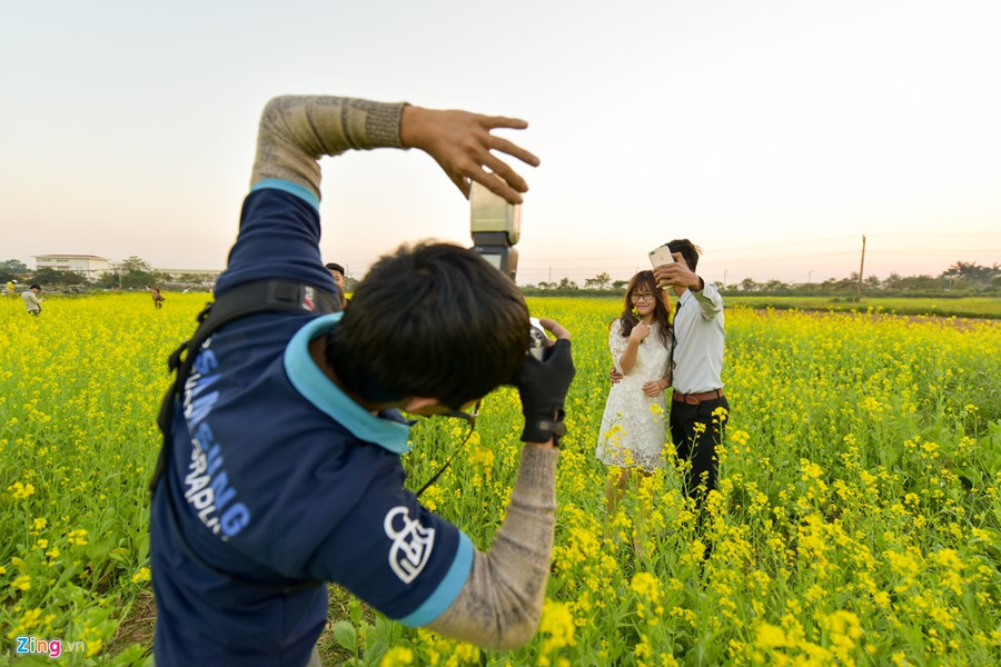 Gioi tre check-in dong hoa cai vang ben song Hong hinh anh 8