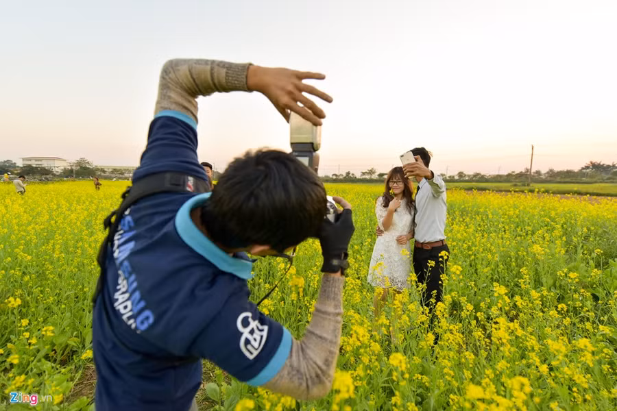 Gioi tre check-in dong hoa cai vang ben song Hong hinh anh 8