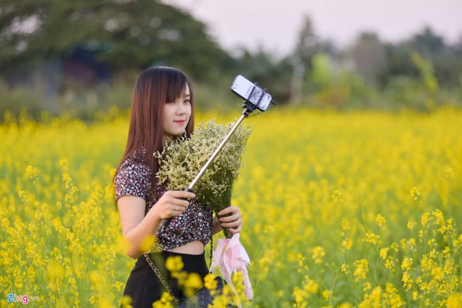 Gioi tre check-in dong hoa cai vang ben song Hong hinh anh 5