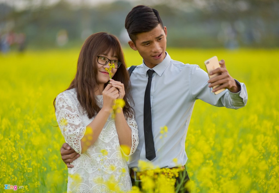 Gioi tre check-in dong hoa cai vang ben song Hong hinh anh 3