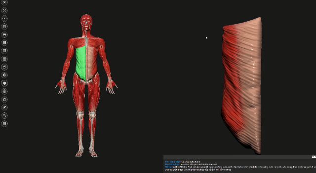 Mô phỏng thực tại ảo 3D trong giảng dạy ngành Y