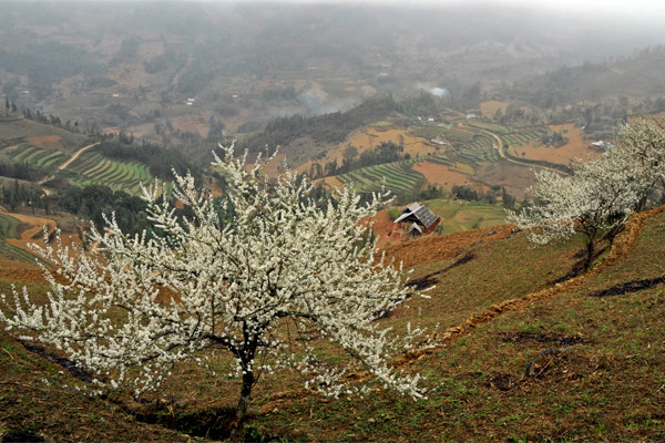 Những cao nguyên đẹp ở Việt Nam nên đặt chân đến ít nhất một lần hình ảnh 3 nhung cao nguyen dep o viet nam nen dat chan den it nhat mot lan hinh anh 3