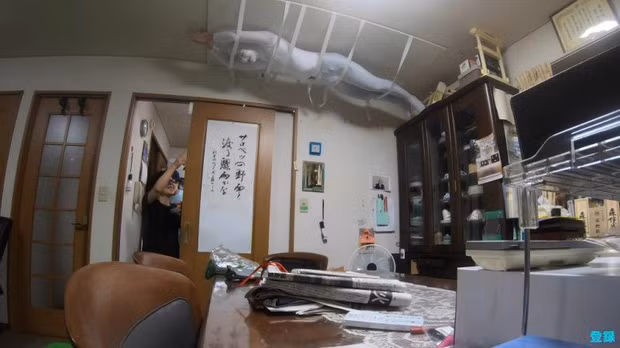 Bày trò với ông nội giả ma dọa bà nội, chàng YouTuber Nhật Bản nhận về cái kết cười đau cả bụng nhưng cũng gian nan phết - Ảnh 7.