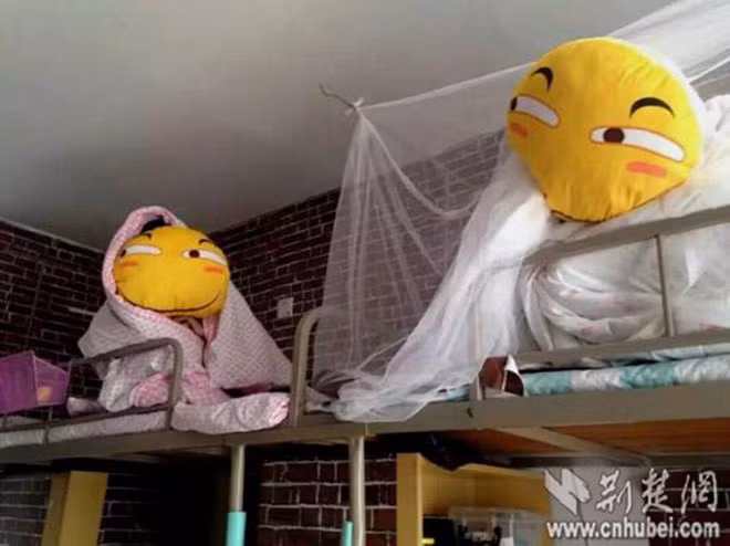 Đi kiểm tra ký túc xá, thầy giám thị tá hoả khi thấy rất nhiều "sinh vật lạ" với vẻ mặt đáng ghét trong phòng - Ảnh 2.