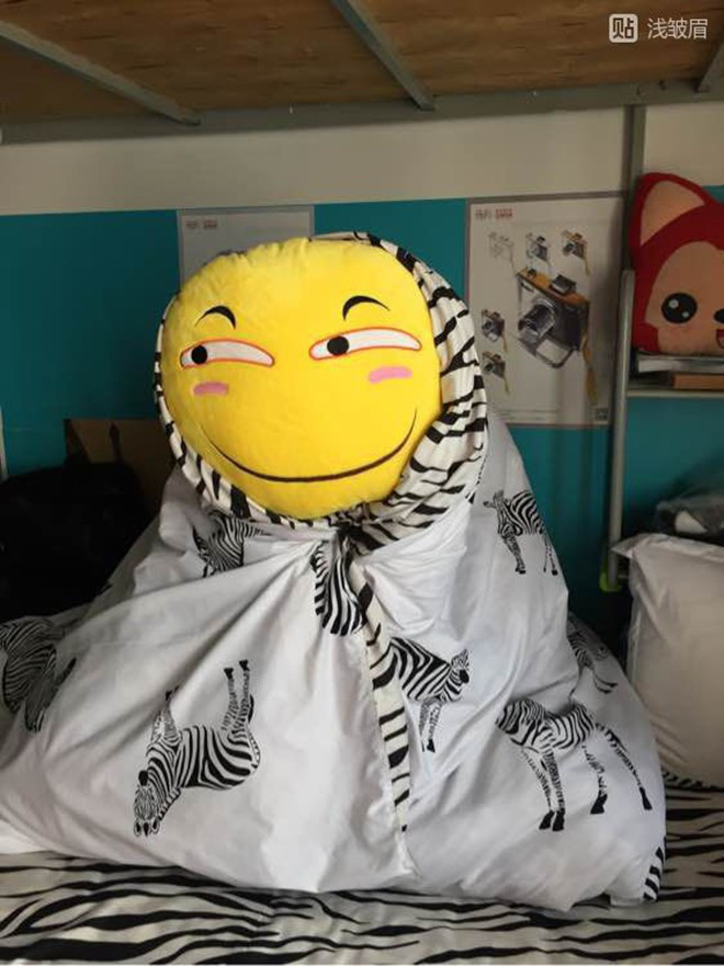 Đi kiểm tra ký túc xá, thầy giám thị tá hoả khi thấy rất nhiều "sinh vật lạ" với vẻ mặt đáng ghét trong phòng - Ảnh 5. Đi kiểm tra ký túc xá, thầy giám thị tá hoả khi thấy rất nhiều "sinh vật lạ" với vẻ mặt đáng ghét trong phòng - Ảnh 5.