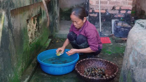 Sau "Ẩm thực mẹ làm", bà Tân Vlog tiếp tục bị soi làm clip giống kênh nấu ăn nổi tiếng nước ngoài khác - Ảnh 3.