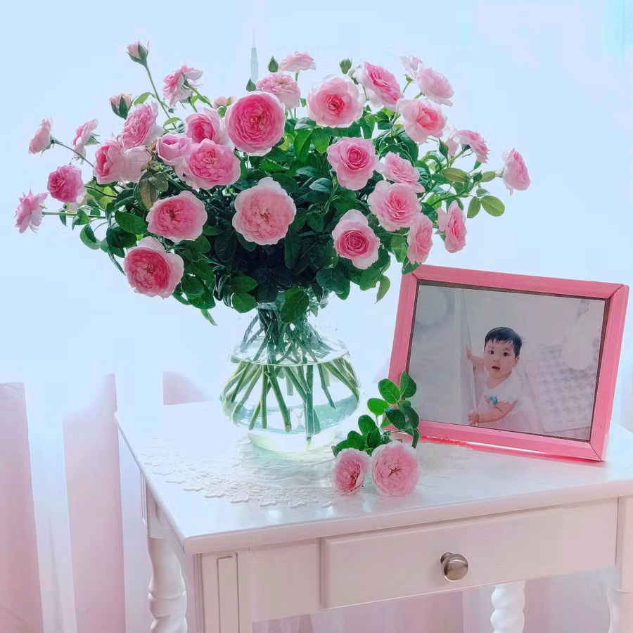 Chỉ cần cho 1 thìa này vào nước, cắm hoa hồng tươi cả tuần ảnh 3