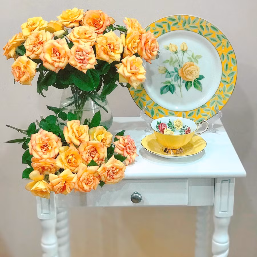 Chỉ cần cho 1 thìa này vào nước, cắm hoa hồng tươi cả tuần ảnh 1